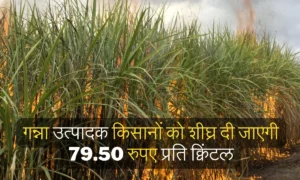 गन्ना उत्पादक किसानों को शीघ्र दी जाएगी 79.50 रुपए प्रति क्विंटल